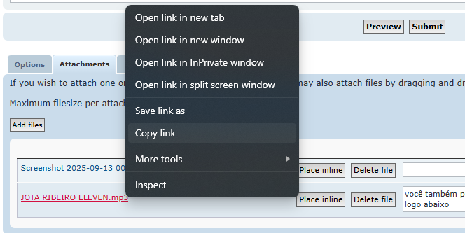 Screenshot 2025-09-13 003539.png